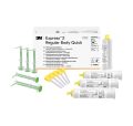 Express 2 Regular - Boîte standard (4 cartouches 50 ml + 10 embouts mélangeurs Garant jaunes)