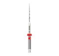 Endo Stops - Sachet de 100 Endo Stops