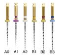 Limes stériles Go-Taper Universal Assortiment ISO 19-30 - Blister de 6