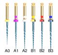Limes stériles Go-Taper Blue Assortiment - Blister de 6