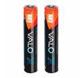Batteries pour lampe à photopolymériser Valo X - 2