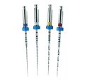 Limes Mtwo Partie Travaillante 21mm - Boîte de 6