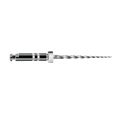Limes ProTaper Universal - Boîte de 6