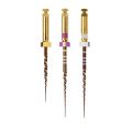 Limes ProTaper Gold Shaping File - Boîte de 6