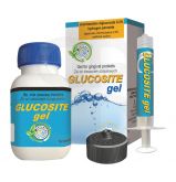 Glucosite - La seringue de 2 ml + embouts applicateurs 