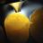 Embout Transillumination pour lampe SmartLife Pro - L'embout