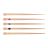 Pointes Gutta-Percha Endo Conform Fit ProTaper Gold F4-F5 29mm - Boîte de 60