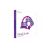 Microsoft Visual Studio 2015 Professionnel - Clé Licence À Télécharger - Livraison Rapide 7/7j