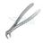 Davier Pour Adultes # Anglaise - Le Davier Pour