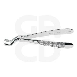 Davier adulte N°67A mors quadrillés