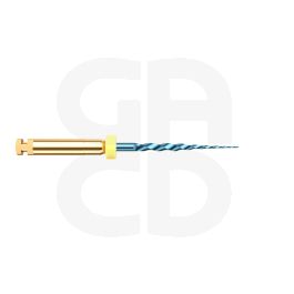 Limes stériles Go-Taper Blue A0 4% ISO 19 19mm - Blister de 6