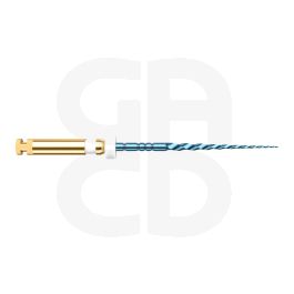 Limes stériles Go-Taper Blue A2 4% ISO 20 21mm - Blister de 6