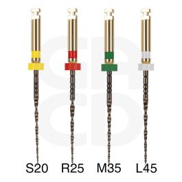 Limes stériles Easy-File Flex 7% ISO 20 21mm - Blister de 6