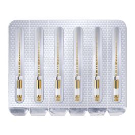 Limes stériles Easy-File Flex Glider 2% ISO 15 31mm - Blister de 6