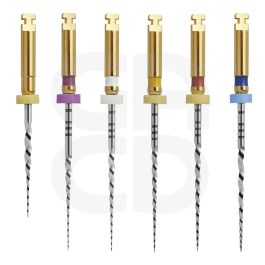 Limes stériles Go-Taper Universal Assortiment ISO 19-30 31mm - Blister de 6