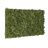 Cadre végétal Khloé en lichen 60 X 60 cm - Le cadre