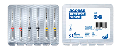 reverso_silver_1