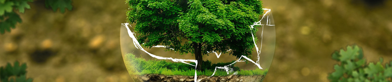 Banner_EcoFriendly