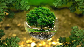 Vignette_ecoFriendly