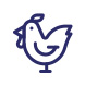 Coq